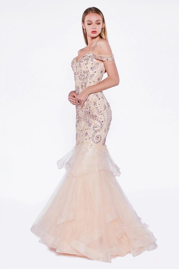 Jeweled Sweetheart Neckline fitted Long Prom Dress
