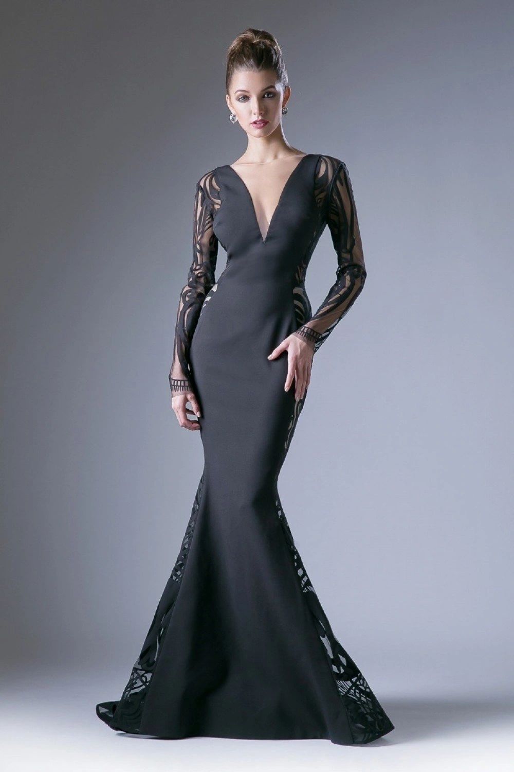 Deep V-Neckline Long Sleeves Evening Dress