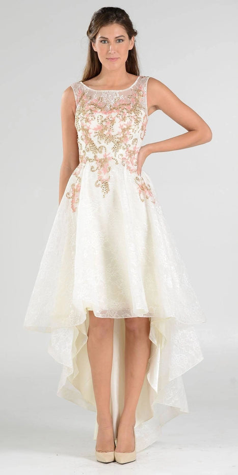 High Low Lace Embroidered  Dress