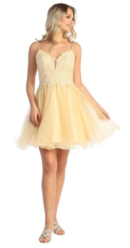 Homecoming short dress, sweetheart dress beautiful lace embroidery and tulle skirt!
