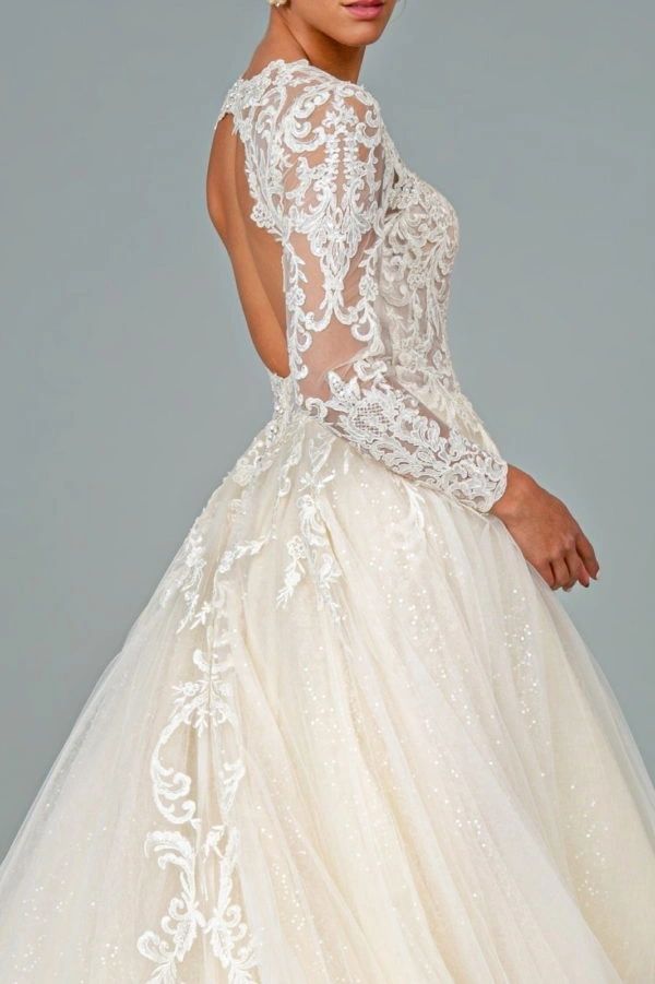 illusion V-neckline long sleeves gown
