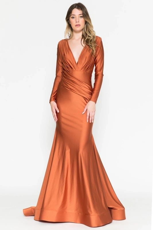 Long sleeves gown
