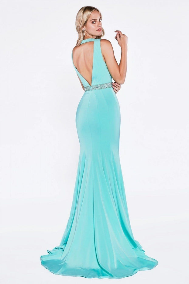 Fitted Mermaid Long Prom Dres